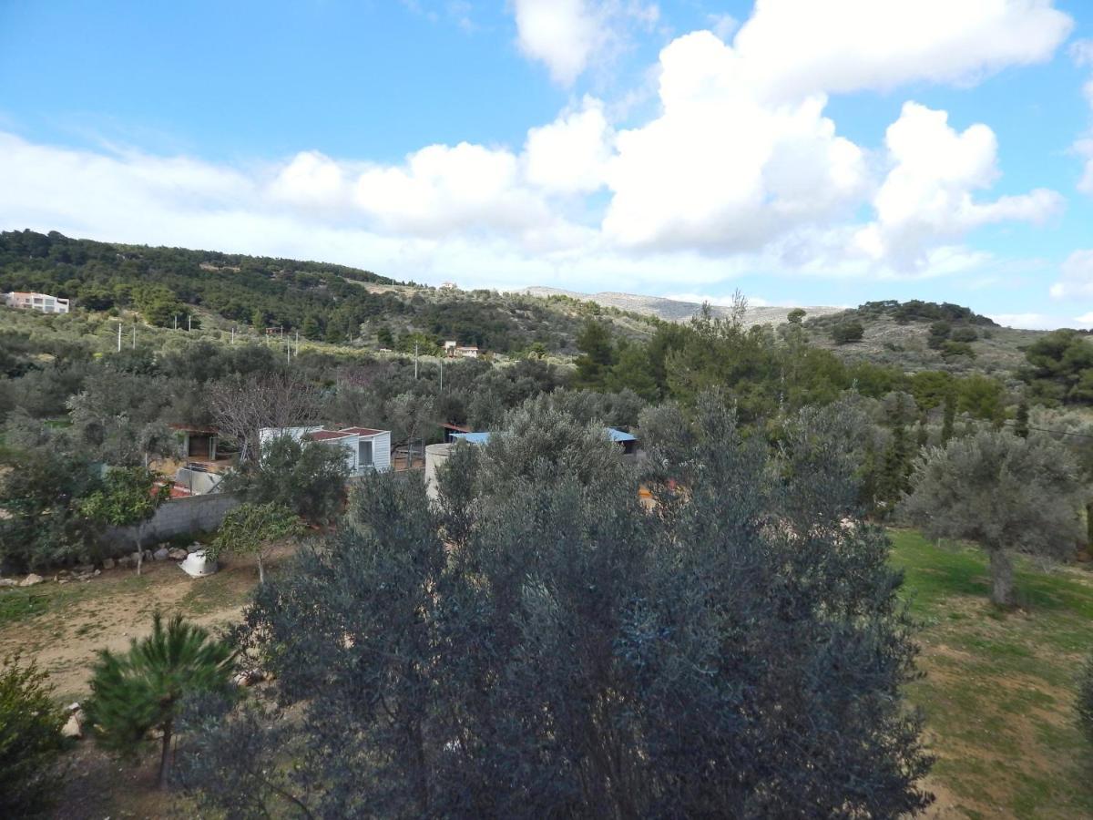 Apartmán Οδυσσεια, Κοντά Σε Αεροδρόμιο, Λιμάνια Και Θάλασσες Keratea Exteriér fotografie