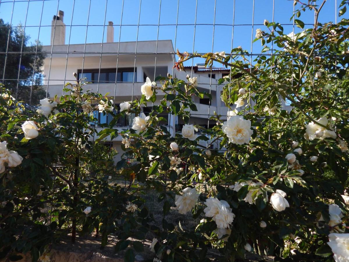 Apartmán Οδυσσεια, Κοντά Σε Αεροδρόμιο, Λιμάνια Και Θάλασσες Keratea Exteriér fotografie