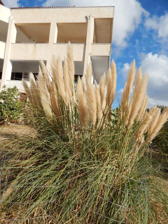 Apartmán Οδυσσεια, Κοντά Σε Αεροδρόμιο, Λιμάνια Και Θάλασσες Keratea Exteriér fotografie