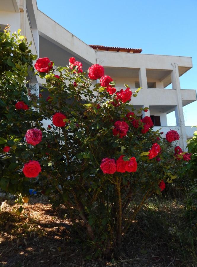 Apartmán Οδυσσεια, Κοντά Σε Αεροδρόμιο, Λιμάνια Και Θάλασσες Keratea Exteriér fotografie