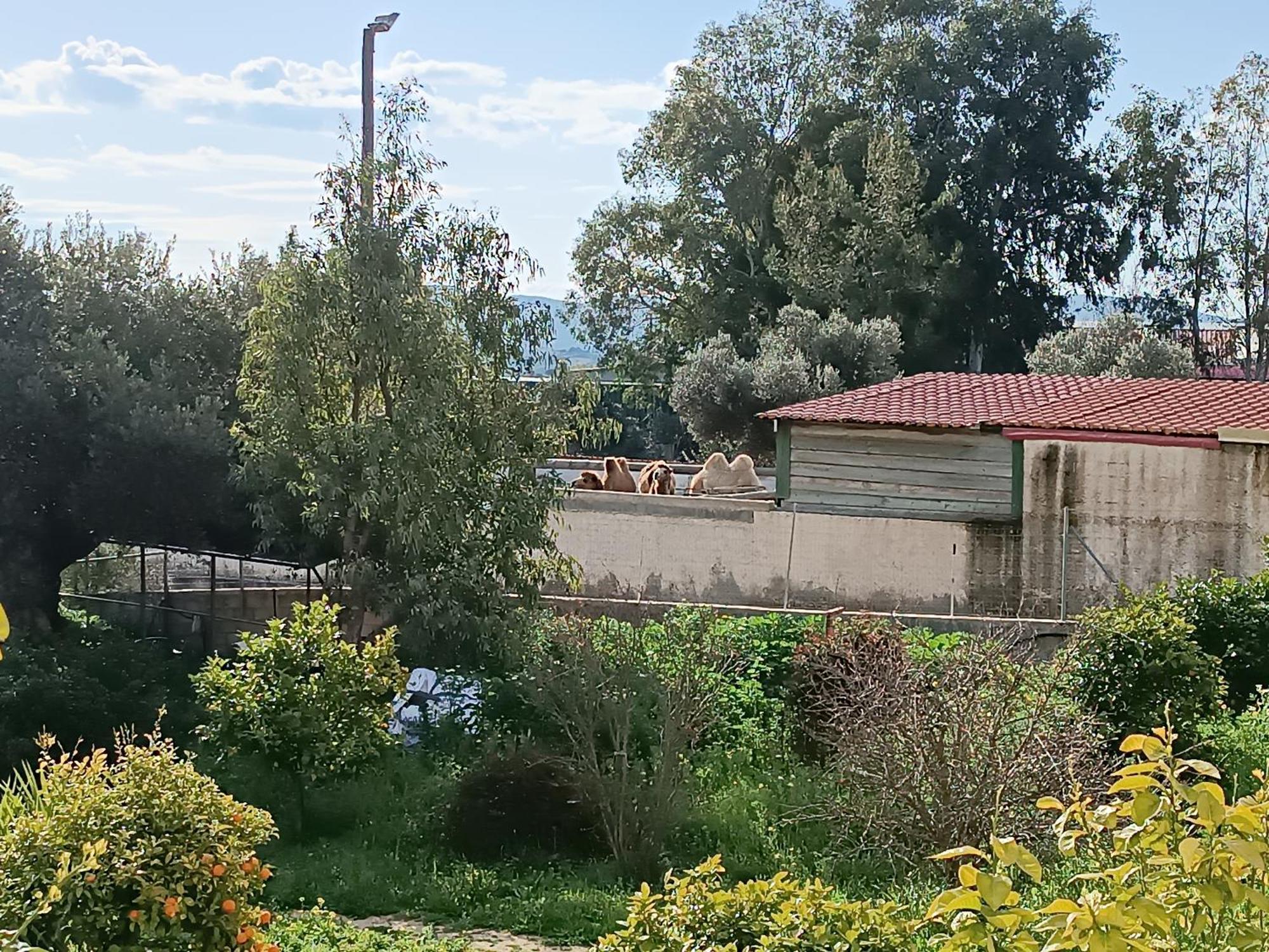 Apartmán Οδυσσεια, Κοντά Σε Αεροδρόμιο, Λιμάνια Και Θάλασσες Keratea Exteriér fotografie